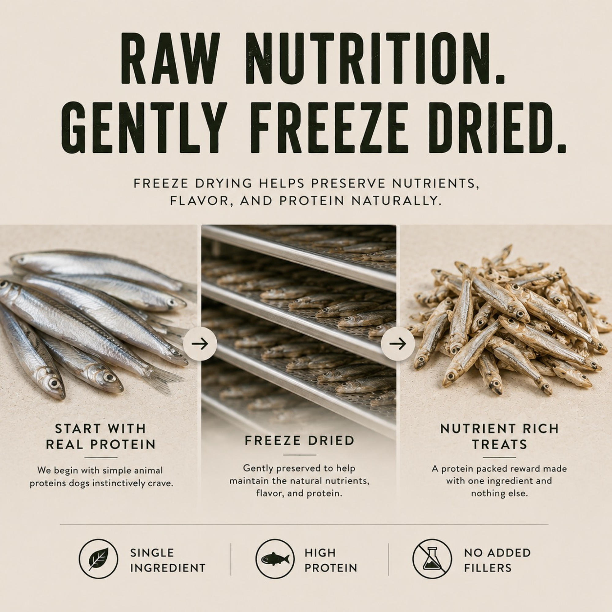 Freeze Dried Minnows